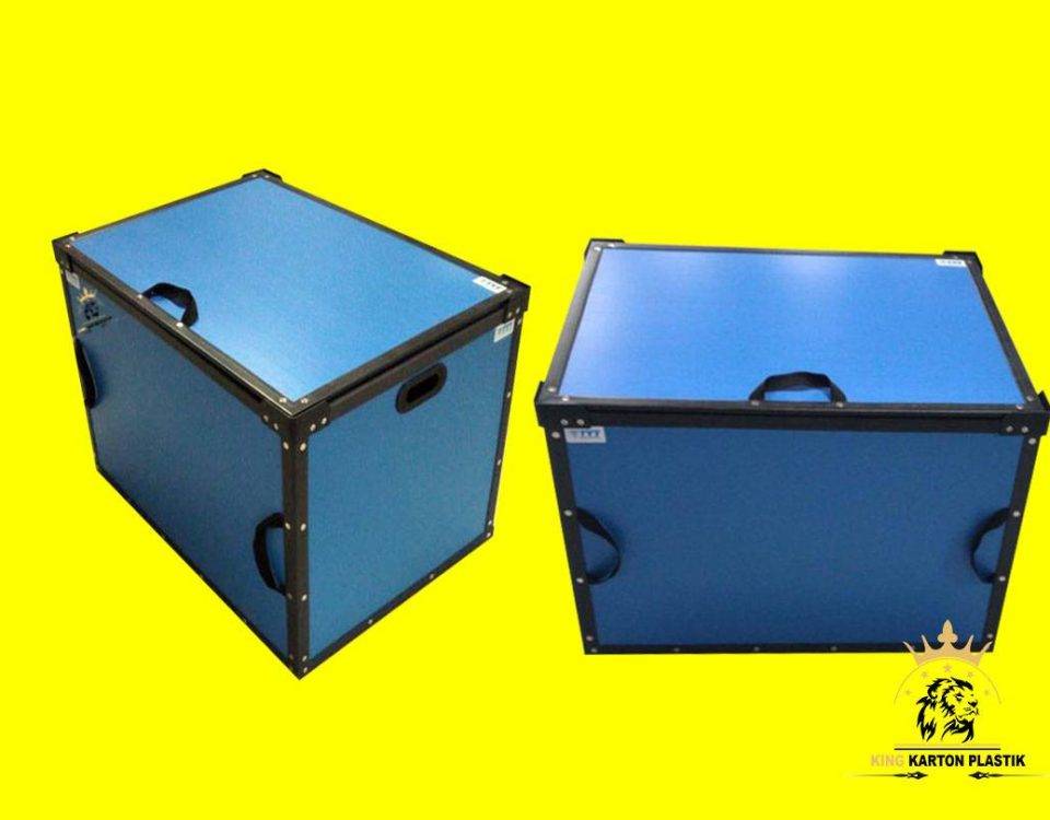 3 3 1 King Karton Plastik